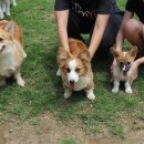 호서전문학교 이미지