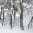 영동우체국 이미지