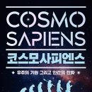 코스모