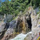 오동도 바람골 이미지