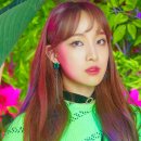 네이처(Nature) 이미지