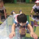 빛이나개 이미지