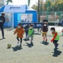 부산도시공사 아르피나 이미지