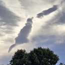 오키오키