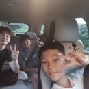 강철학운태권도 네이버블로그