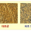 주식회사 렉스바이오 이미지