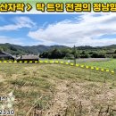 [제천토지 2,420㎡ // 6천6백만원] 나지막한 산자락, 정남향의 조망감 좋은 쉼터! 제천IC 10분대... 이미지