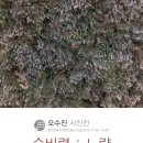 느량 Daum카페