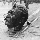 금송아지 이미지