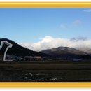 돈지백구마을 이미지