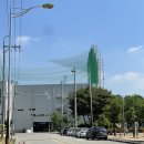 프렌즈스크린브레인시티