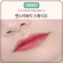 다산 틴트입술 맛집, 엔느아뷰티 틴트립 후기