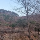 느티나무농장 이미지