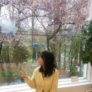 예쁜걸 이미지