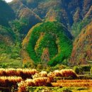 신평농장2 이미지