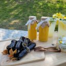 킨(KIN)라탄 이미지