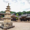 문수터널(부산)-외부 | 통도사 피톤치드 초록 숲,능소화 개화 무풍한송로 산책 후기 주차·입장료 총정리