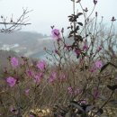 죽포(여) 이미지