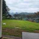 내서읍407 | 마산 애견카페 포둥포둥 넓은 잔디밭 좋아