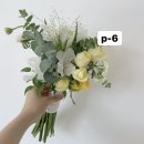 라메종블랑쉬