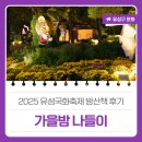 배울2로(유성-27) | 2025 유성국화축제 밤산책 후기 &#39;가을밤 나들이&#39;
