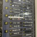 틴트플러스 | 수원 속눈썹 르뮨아이 수원점 블랙틴트펌 후기