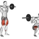 운동자판기 GYM 이미지