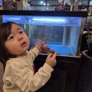 씨유 봉담이편한점 | 화성봉담맛집 봉정옥 아이와 함께 가기 편한 고깃집 후기