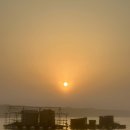 대호만로 | [실제 방문] 부흥호좌대낚시 생생후기｜당진낚시 입문하기 좋은 곳