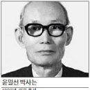 윤일선