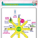 진해 군항제 이미지