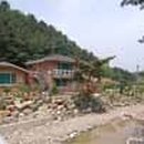 잣나무솔향기 이미지