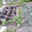 전원카페 이미지