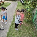 느지매기길 이미지