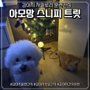 아모망 스니피 트릿 후기｜강아지 노즈워크 간식으로 딱인 저칼로리 훈련간식