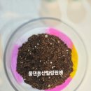 양산화분