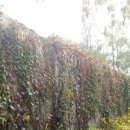 장동주민센터 이미지