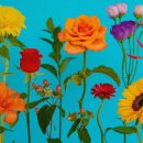 마포-현장-마포-1569 | [마포구청] 망원동 꽃을 담는 스튜디오 넥타르