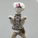 도기크루 이미지