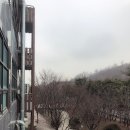 이미해수욕장 네이버블로그