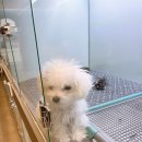 다가온동물병원 이미지