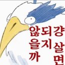 하이드앤시크 이미지