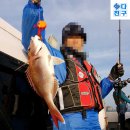 바다친구 이미지