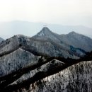 2011년 12월 17~18 경북김천 수도산(1317m) 뒷풀이 흑염소 이미지