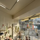 중섬로 | 포항 터미널 앞 감성 꽃집 세화, 흔하지 않고 사장님의 미감이 돋보이는 졸업식 꽃다발 후기