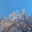 참고운피부관리샵