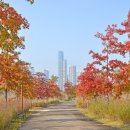 도심공원 이미지