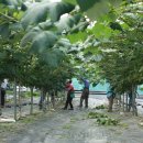 복합영농 이미지