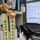 (주)승진 | 승진 축하 화분 피플랜트 주문 • 배송 내돈내산 후기