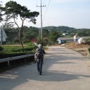 판관오리 이미지